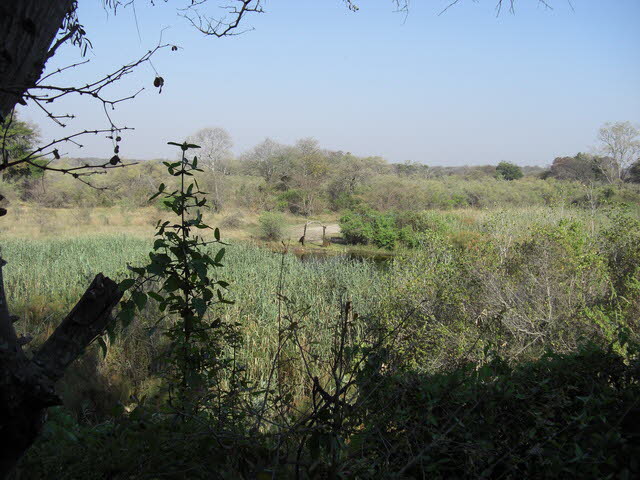 Susuwe Island Lodge 2